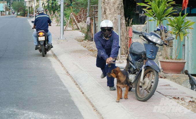 The members of the stray dog-catching team have to cover their faces while working to avoid being identified and causing disturbances. Photo: Le Binh.