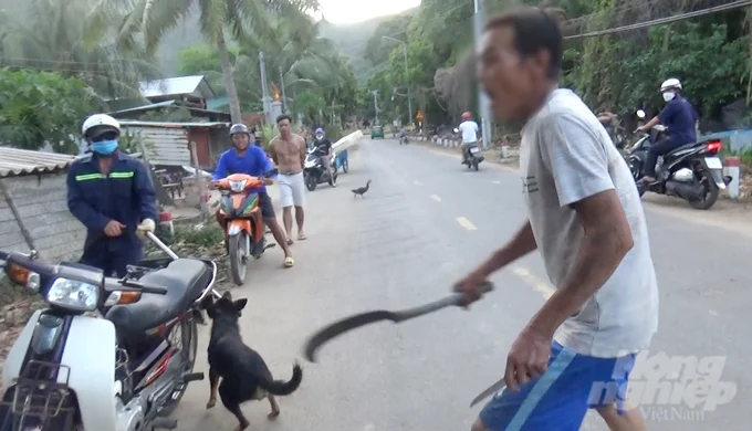 Dog owners wielding machetes and Thai knives threaten and attack the stray dog-catching team after failing to reclaim their dogs. Photo: LB.