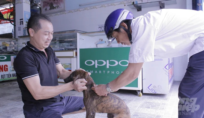 The vaccination rate for dogs and cats in Vung Tau reached approximately 87% in 2023. Photo: Le Binh.