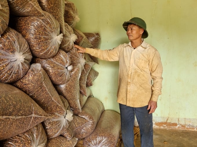 High-quality coffee beans carefully preserved by Mr. Cach's family. Photo: Tuan Anh.