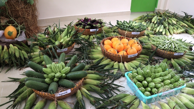 Mô hình vườn thực phẩm cộng đồng sử dụng phương pháp canh tác hữu cơ, bền vững và chia sẻ nguồn thực phẩm đến những nơi cần hỗ trợ. Ảnh: Trần Phi.