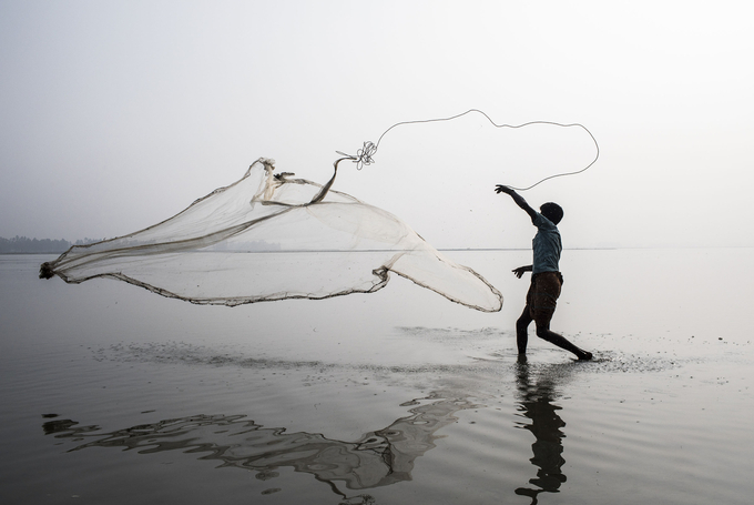 A fisher at work in the River Tista in Panjarbhanga, Bangladesh.