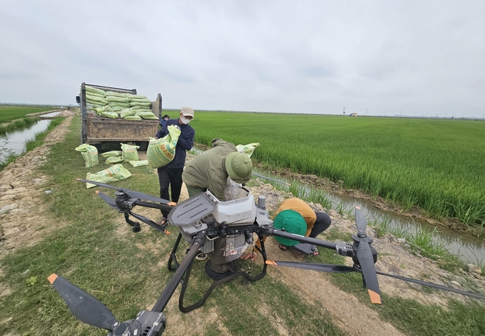 Dùng thiết bị bay gieo sạ, bón phân cho lúa giúp tiết kiệm được khoảng 3 triệu đồng mỗi ha. Ảnh: T. Phùng.