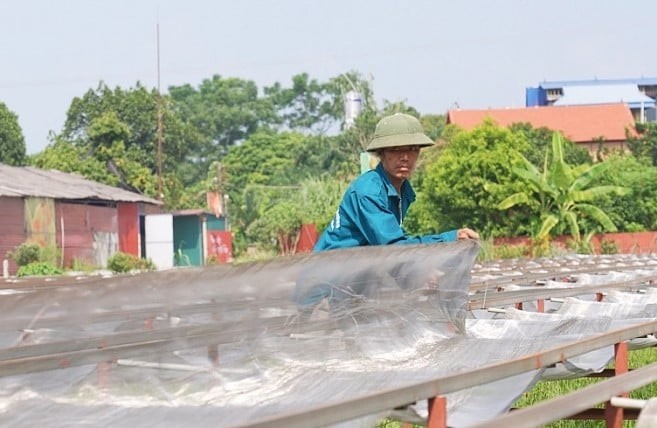 Viet Cuong Vermicelli Cooperative applies many machines to production. Photo: Pham Hieu.