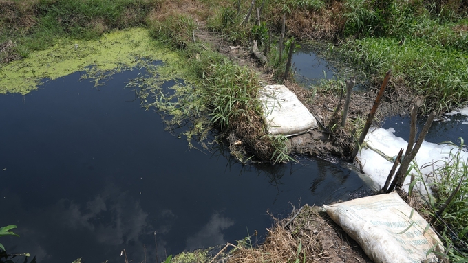 Các kênh rạch cũng không thoát khỏi thực trạng ô nhiễm, đe doạ nguồn lợi thủy sản tự nhiên, khó phát triển nghề nuôi trồng. Ảnh: Trần Trung.