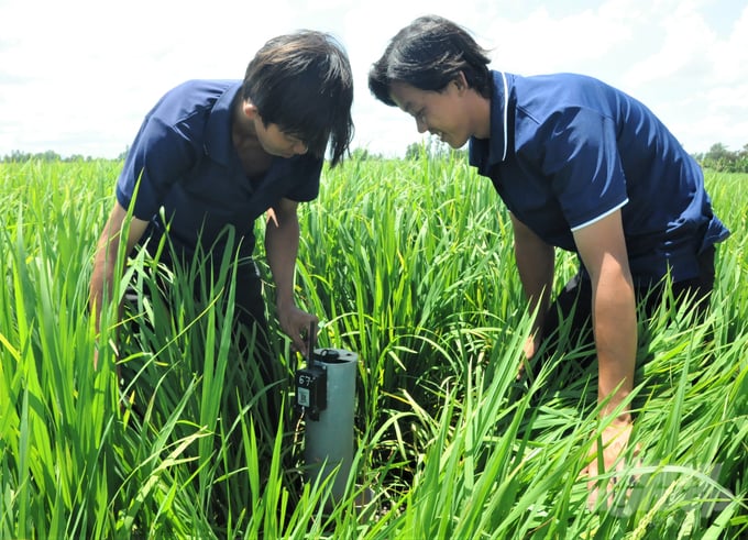 Members of the Phu Hoa Youth Agricultural Services Cooperative check the automatic water level measurement sensor equipment in the rice fields participating in the pilot model of the 1 Million Ha High-Quality, Low-Emission Rice Project. Photo: Trung Chanh.