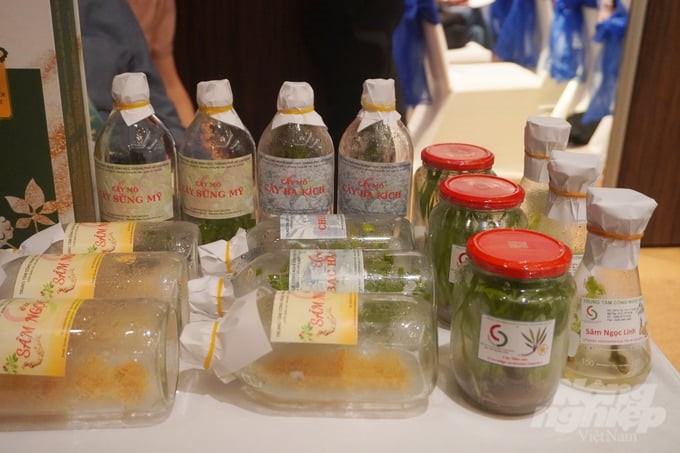 Medicinal herbs are researched and developed by the Biotechnology Center of Ho Chi Minh City (Ho Chi Minh City Department of Agriculture and Rural Development). Photo: Nguyen Thuy.