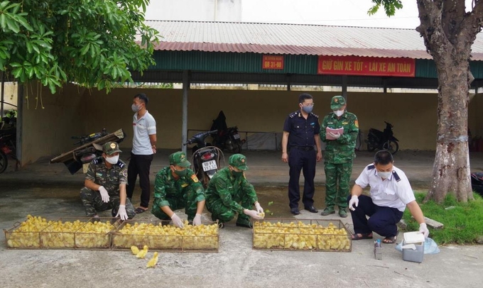 Lực lượng bộ đội biên phòng phối hợp kiểm tra gia cầm tại khu vực biên giới tỉnh Lạng Sơn.