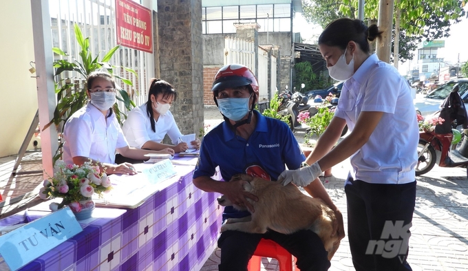 Ngành Thú y tỉnh Tây Ninh tổ chức tiêm vacxin phòng chống bệnh dại trên đàn chó địa phương. Ảnh: Trần Trung.