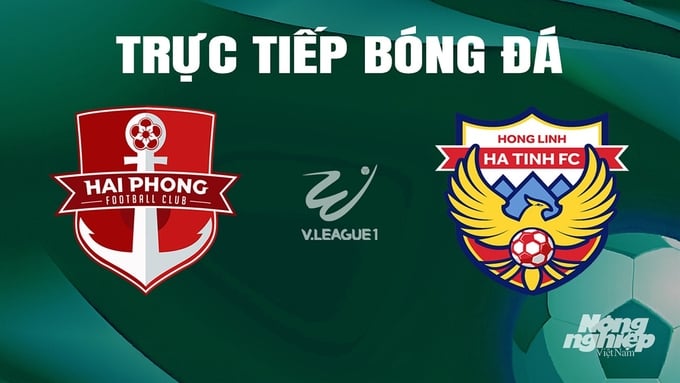 Trực tiếp bóng đá V-League 2023/24 giữa Hải Phòng vs Hà Tĩnh hôm nay 26/5/2024