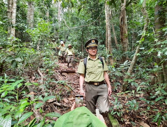 Lực lượng kiểm lâm tỉnh Quảng Ngãi tăng cường công tác tuần tra, bảo vệ rừng. Ảnh: L.Khánh.