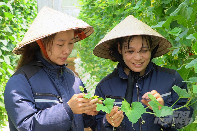 Chị Trang (bên phải) truyền lửa đam mê nông nghiệp tử tế cho các kỹ sư trẻ. Ảnh: Võ Dũng.