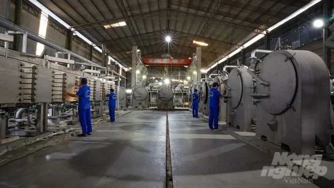 Inside the Cassava Starch Processing Plant of Dinh Khue Co., Ltd. Photo: Tran Trung.