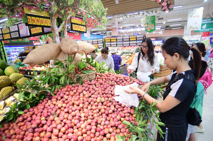 Mận hậu Sơn La được bày bán tại hệ thống Saigon Co.op. 