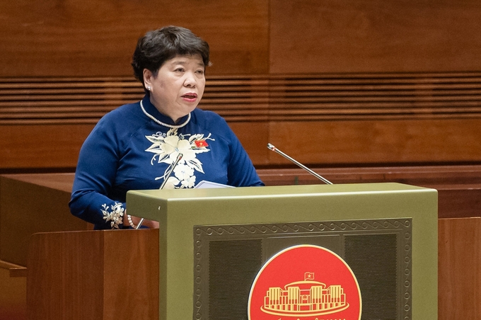 Bà Nguyễn Thúy Anh phát biểu trong phiên thảo luận sáng 27/5. Ảnh: Quốc hội.