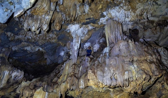 The cave space is large with stalactites of all shapes. Photo: Hoang Tao.