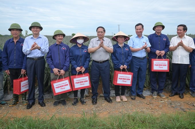 The Prime Minister presented gifts to farmers in the Dong Giao pineapple field. Photo: Tung Dinh.