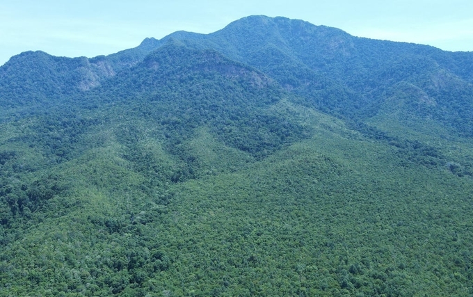 A corner of Chu Mom Ray National Park. Photo: Tran Hoa.