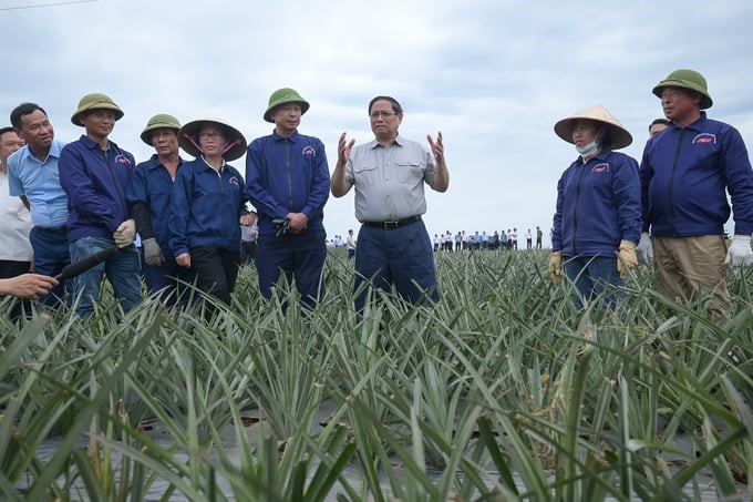 Innovations in technology and seed were noted by the Prime Minister in Doveco's future development orientation. Photo: Tung Dinh.