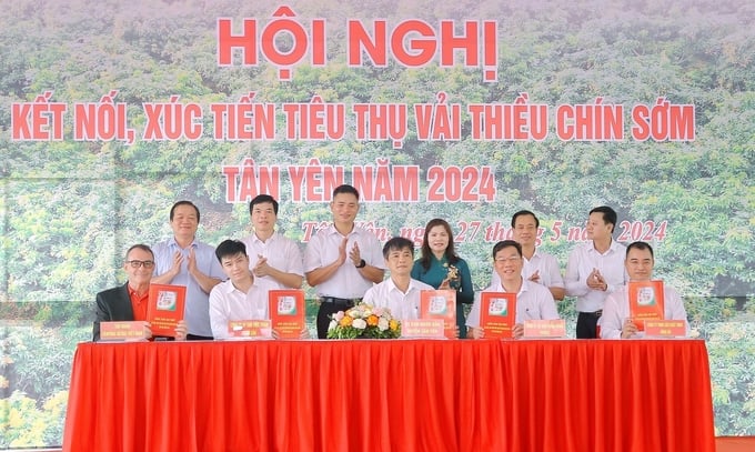 Đại diện Central Retail (ngoài cùng bên trái) ký hợp đồng ghi nhớ tiêu thụ vải thiều chín sớm Tân Yên năm 2024 với các hợp tác xã cung cấp vải thiều của tỉnh Bắc Giang.