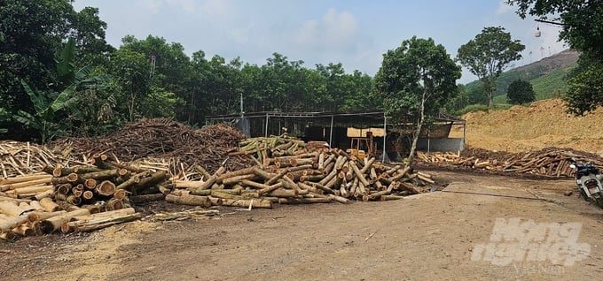 Cơ sở thu mua, chế biến gỗ keo tại huyện Như Thanh, Thanh Hóa vi phạm sử dụng đất nhưng không được chính quyền cơ sở xử lý triệt để. Ảnh: Quốc Toản.