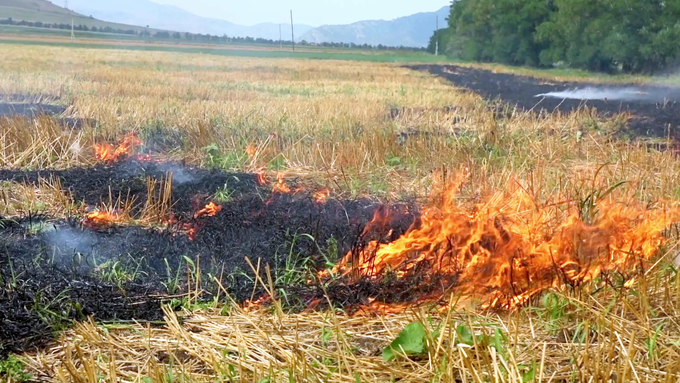 Many farmers choose to burn agricultural by-products, such as sugarcane leaves, rice straw, and corn stubbles, as it is a convenient and cost-effective method.