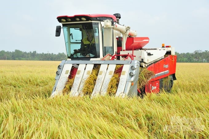 Agriculture generates large emissions of about 100 million tons of CO2 equivalent of Vietnam's total greenhouse gas emissions. Of which, the rice growing industry accounts for 50%. Photo: Le Hoang Vu.