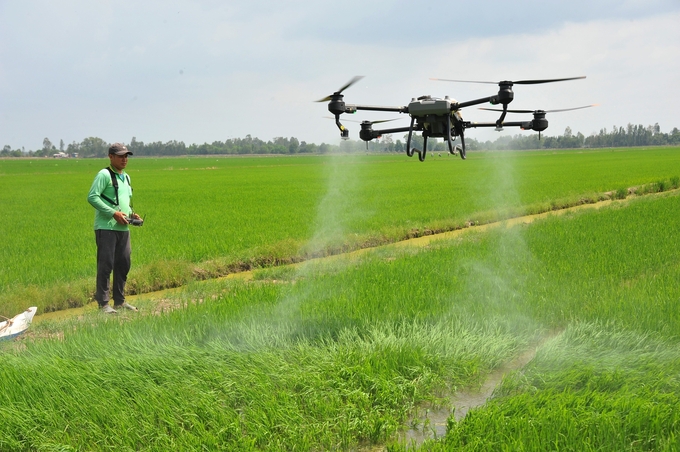 The application of scientific and technical advancements in production is crucial to the sustainable development of Dong Thap's rice industry by 2025. Photo: Le Hoang Vu.