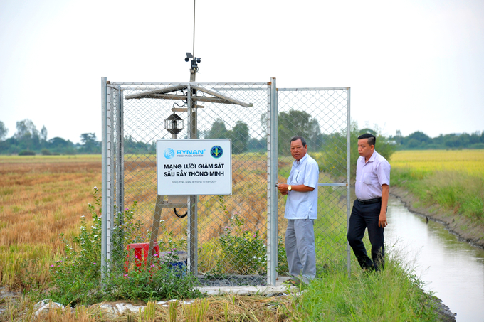 Rice farmers in Thap Muoi district, Dong Thap province, operating a smart pest monitoring network in the fields. Photo: Le Hoang Vu.