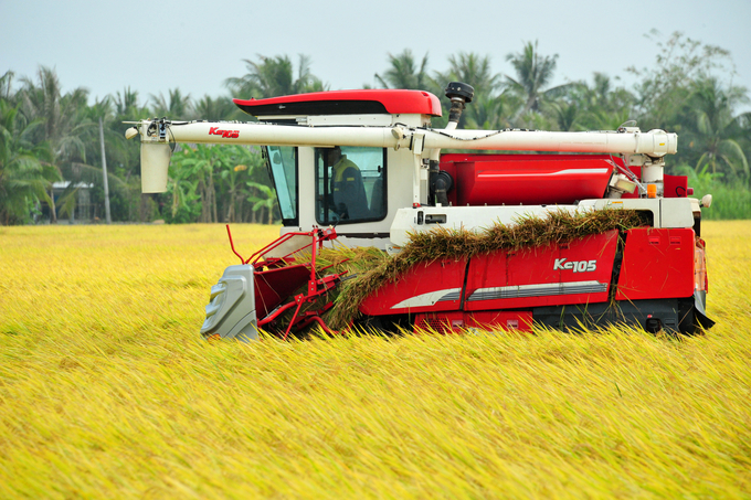 By 2025, Dong Thap province is projected to house over 42,000 hectares of rice production areas with production unit codes to meet export demands. Photo: Le Hoang Vu.