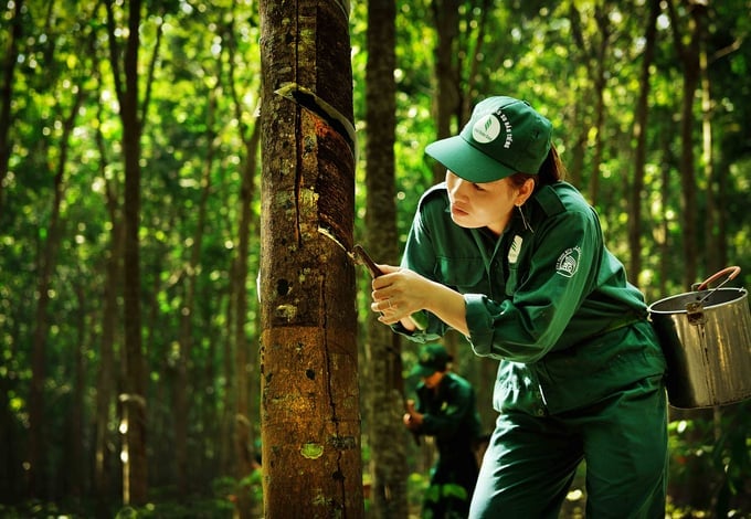 VRG aims for 60% of its rubber plantation area to achieve national and international sustainable certification by 2030.