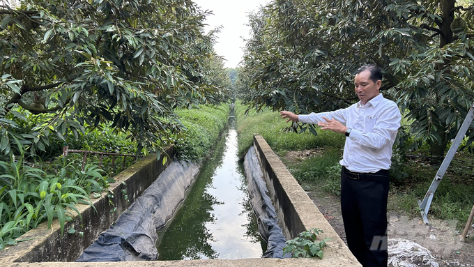 Ông Khương tích trữ nước để ứng phó với thời tiết bất thường, do đó vườn sầu riêng của ông luôn xanh tốt, cho trái đều. Ảnh: Trần Phi.