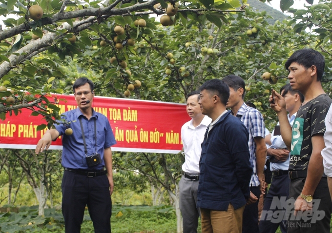 30 năm qua, hệ thống khuyến nông Hà Giang đã làm tốt vai trò đồng hành, hỗ trợ nông dân vươn lên trong phát triển sản xuất. Ảnh: Đình Nhu.