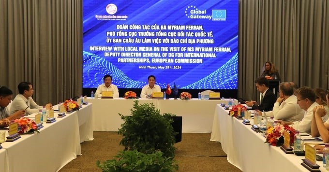 Ninh Thuan hopes that the EU will support the development of the green energy and renewable energy industry. Photo: PC.