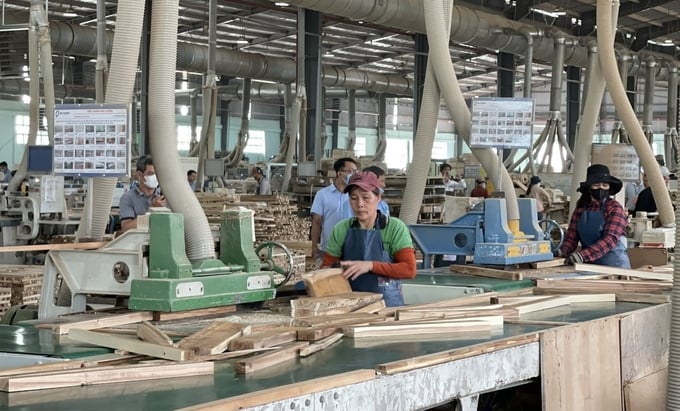 Ngành gỗ Bình Định đang tập trung xây dựng hình ảnh thân thiện, phát triển bền vững. Ảnh: V.Đ.T.