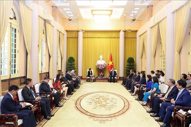 Chủ tịch nước Tô Lâm đã tiếp Đại sứ, Đại biện các nước ASEAN và Timor-Leste tại Hà Nội đến chào và chúc mừng. Ảnh: TTXVN.