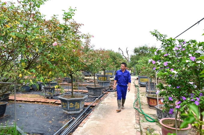 Hết hạn hợp đồng mà không được tái ký, chủ trang trại không yên tâm sản xuất. Ảnh: Dương Đình Tường.