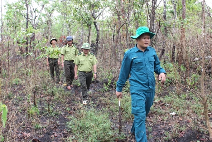 Tuần tra của nhân viên chốt bảo vệ rừng Cheng Leng. Ảnh: Tuấn Anh.