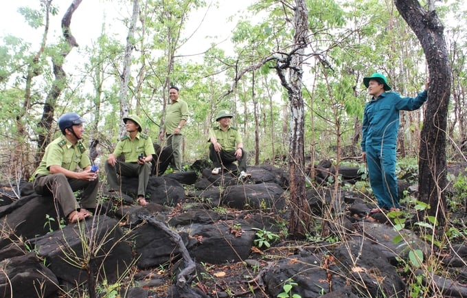 Dừng chân nghỉ ngơi rồi tiếp tục công việc tuần tra của nhân viên chốt bảo vệ rừng Cheng Leng. Ảnh: Tuấn Anh.