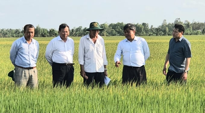 Thứ trưởng Bộ NN-PTNT Trần Thanh Nam (thứ hai từ phải sang) là Phó Trưởng ban Ban chỉ đạo Đề án 1 triệu ha lúa chất lượng cao, giảm phát thải.