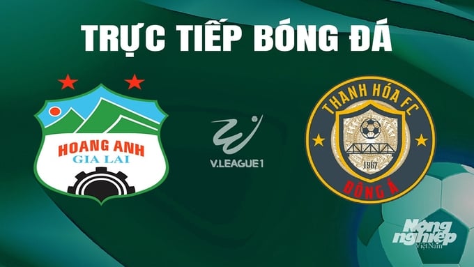 Trực tiếp bóng đá V-League 2023/24 giữa HAGL vs Thanh Hóa hôm nay 30/5/2024