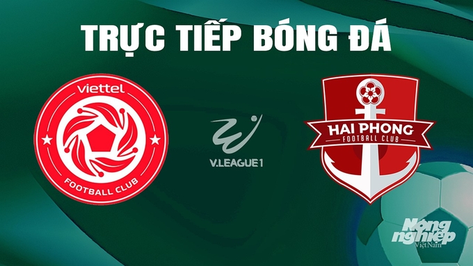 Trực tiếp bóng đá V-League 2023/24 giữa Viettel vs Hải Phòng hôm nay 30/5/2024