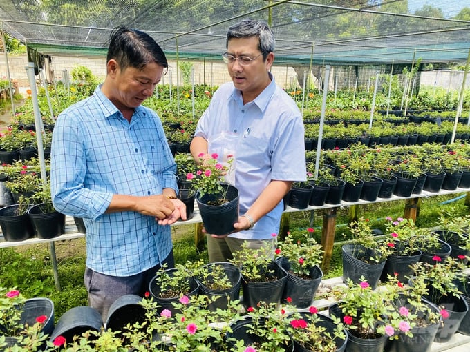 Ngành hàng hoa, kiểng là một trong 5 ngành hàng chủ lực của tỉnh Đồng Tháp để tái cơ cấu ngành nông nghiệp. Ảnh: Lê Hoàng Vũ.