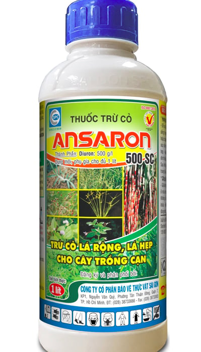 Thuốc trừ cỏ Ansaron 80WP hiệu quả trừ cỏ cao trong vườn mía, khoai mì, cà phê, an toàn cho cây trồng.