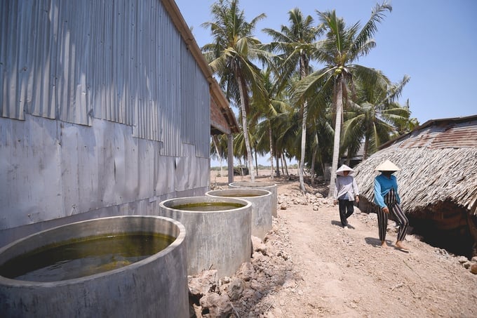 The situation of drought and saltwater intrusion has had a negative impact on the livelihoods and production of people in the Mekong Delta region in 2020. Photo: Tung Dinh.