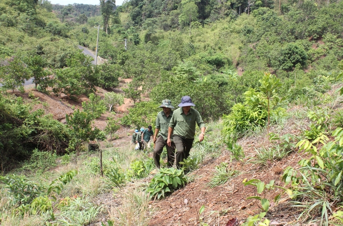 Để tuần tra bảo vệ rừng, nhân viên phải trèo lên những ngọn núi cao. Ảnh: Đăng Lâm.