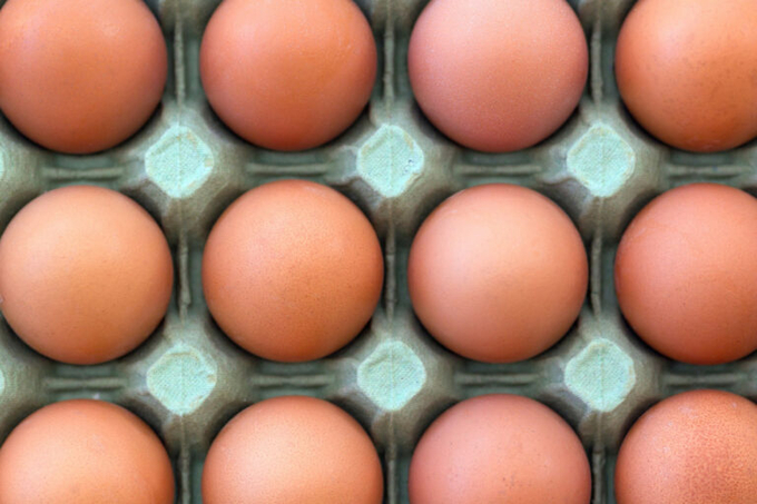 The changes to free-range egg marketing laws follow detailed consultations and will enable eggs to be labelled as free-range instead of barn when laying poultry throughout the duration of mandatory avian influenza housing measures. Photo: Canva.