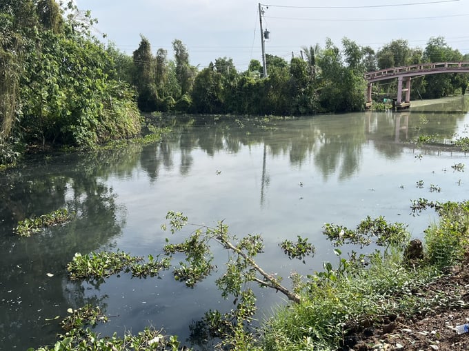 Trước đó, nước trên các dòng kênh tại xã Tân Đông, huyện Thạnh Hóa, tỉnh Long An chảy qua các kênh mương lân cận thuộc huyện Tân Phước, tỉnh Tiền Giang gây ô nhiễm môi trường. Ảnh: TL.