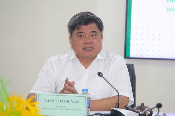 Thứ trưởng Trần Thanh Nam cho biết, hiện đã có doanh nghiệp sử dụng rơm làm nguyên liệu phục vụ ngành công nghiệp. Ảnh: Kim Anh.