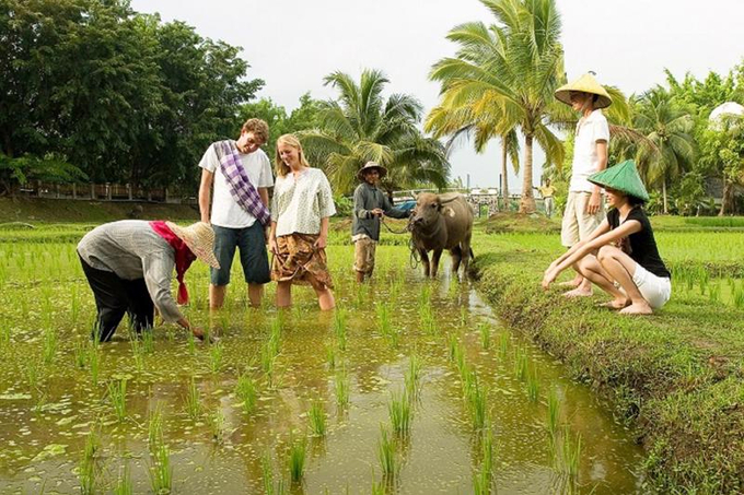 Nhiều địa phương đã phát triển các sản phẩm du lịch đặc trưng dựa trên hoạt động nông nghiệp như cây ăn quả, chè, cà phê, hoa, cây cảnh, chăn nuôi... Ảnh: TL. 